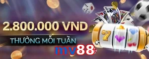 mv88