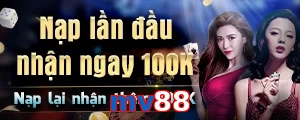 mv88