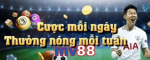 mv88